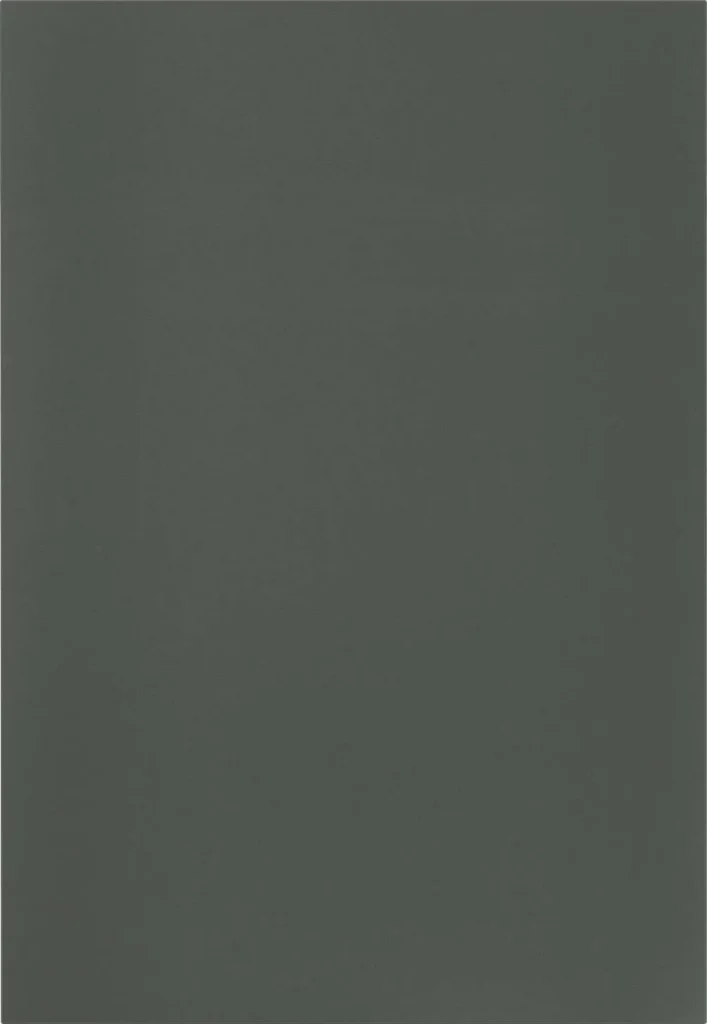 F964 grifflos