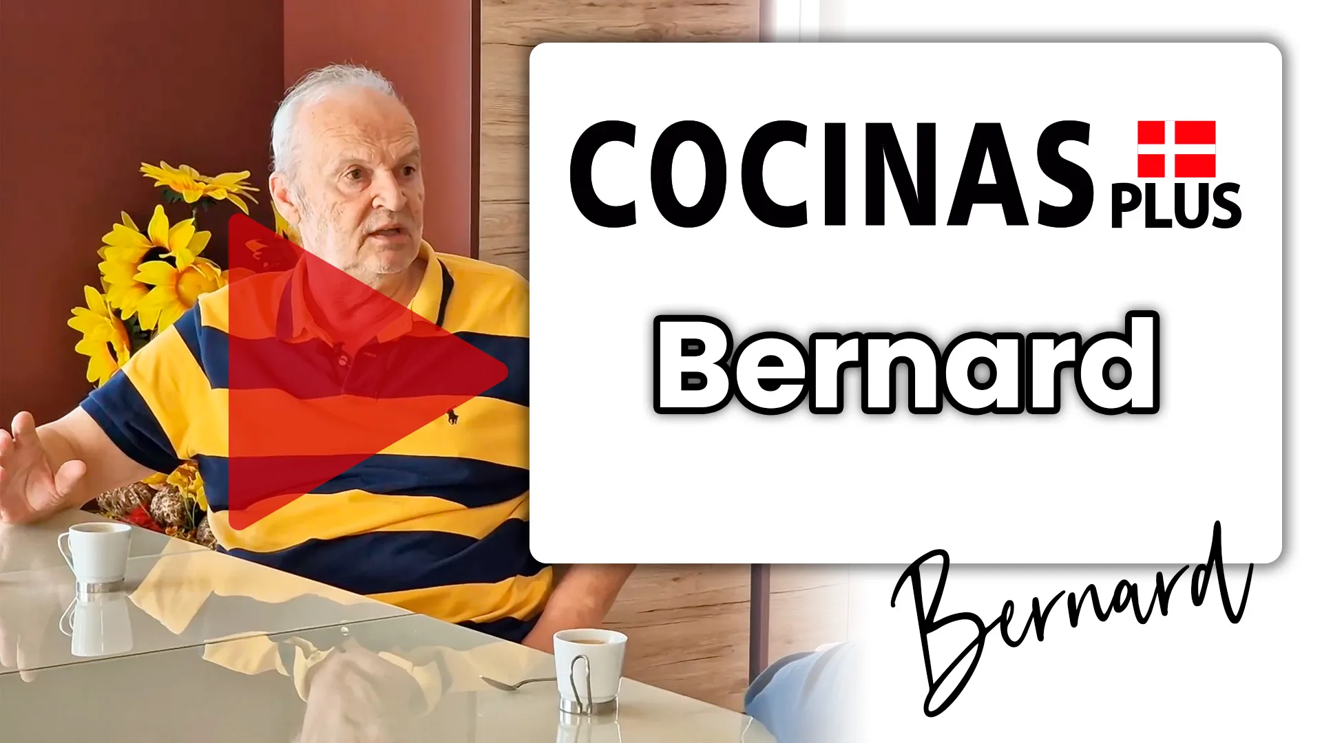 Bernard video anmeldelse